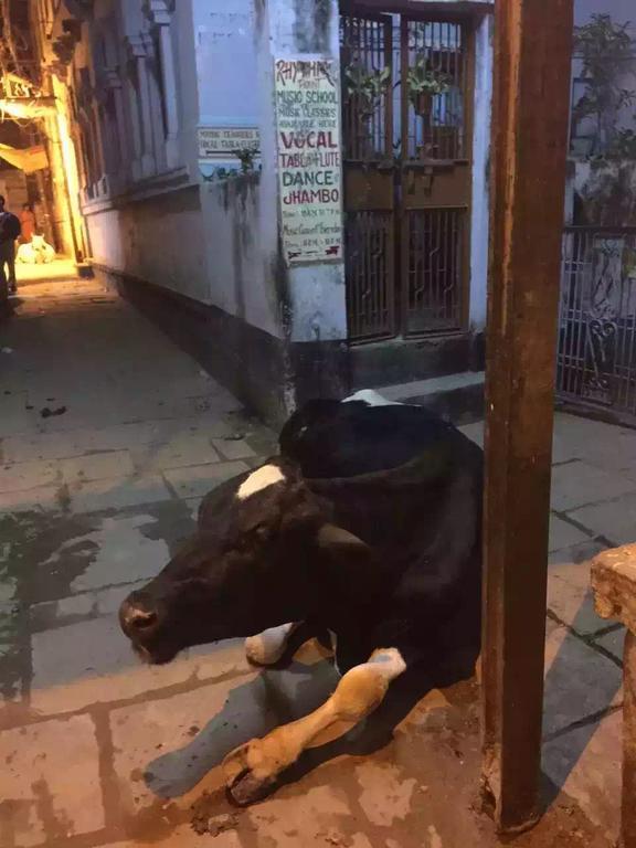 Paradise Inn Guest House Varanasi Exterior foto